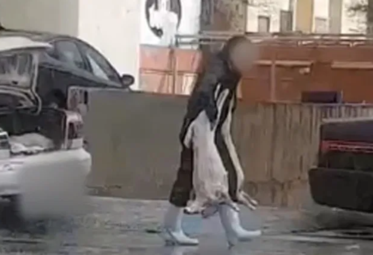 إحالة صاحب فيديو نقل اللحوم المتداول إلى القضاء