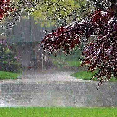 تفاصيل الحالة الجوية لثلاثـــة أيــــام قادمـــة