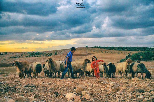 الأردن بالمرتبة 62 عالميا في ازدهار الأطفال