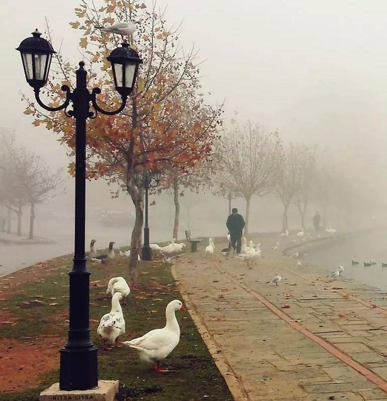 تفاصيل الحالة الجوية ليوم السبت