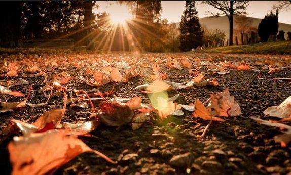 أجواء لطيفة ليومين