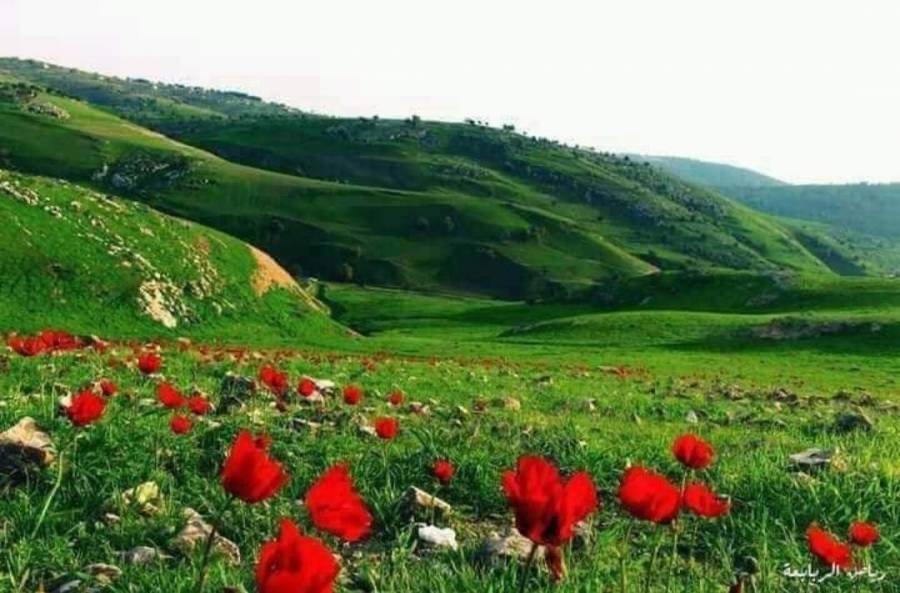 ارتفاع على درجات الحرارة ليوم الخميس