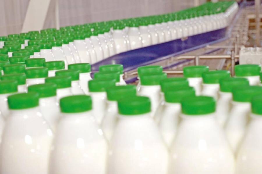 حماية المستهلك تتهم شركات الألبان بالالتفاف وغرفة الصناعة تدافع