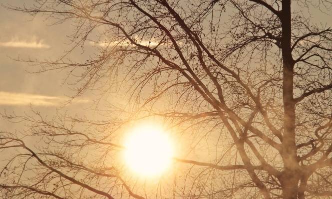 أجواء دافئة الجمعة وباردة بداية الأسبوع