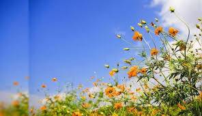 الحرارة إلى ارتفاع وأجواء لطيفة حتى الأربعاء