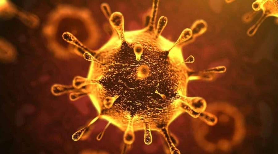 تونس تعلن عن 3 إصابات جديدة بفيروس كورونا