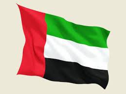 الإمارات: ارتفاع حالات الشفاء من كورونا إلى 17 حالة
