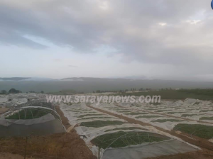 العواصف تدمر البيوت البلاستيكية بالأغوار وتكبد المزارعين خسائر فادحة