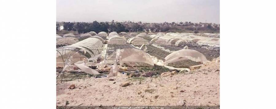 اتحاد المزارعين: وادي الاردن منطقة منكوبة واجتماع طارئ لبحث الاضرار
