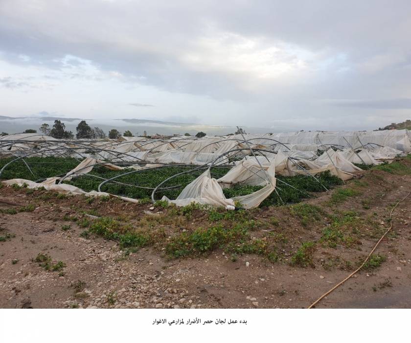 بدء عمل لجان حصر الأضرار لمزارعي الاغوار