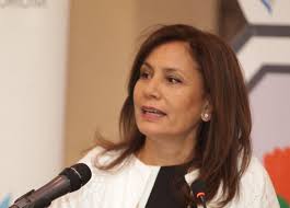 وزير الطاقة: توزيع أسطوانات الغاز مستمر