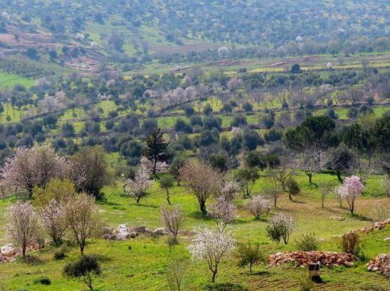 أجواء دافئة الجمعة