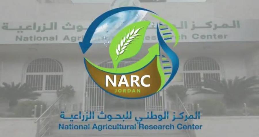 البحوث الزراعية يطور نظام مرشات حديثة لتعقيم المؤسسات والأماكن العامة... فيديو