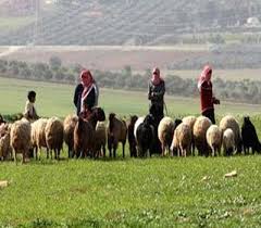 دعوة مربي الثروة الحيوانية باربد الى تصنيع الحليب