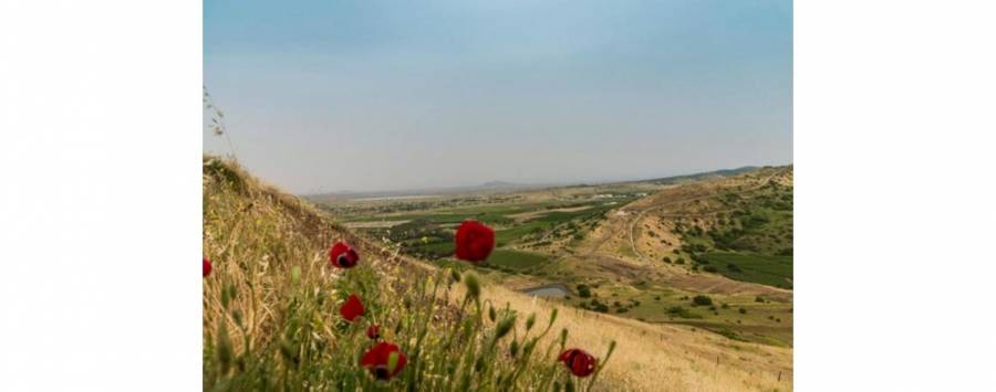 أجواء لطيفة الحرارة إلى باردة وأمطار متوقعة بالمناطق الشمالية