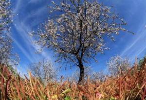 الأربعاء .. أجواء دافئة في أغلب مناطق المملكة
