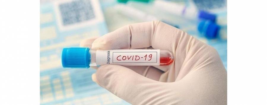 السعد: الوضع في بلدة الشجرة مطمئن جدآ ونتائج 60 عينة سلبية