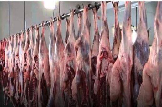 إتلاف (70) كيلو  من اللحوم  وإغلاق معمل ملح في سحاب