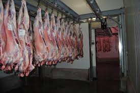 المسلخ البلدي في الطفيلة يستأنف تقديم خدماته للقصابين