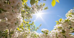 تفاصيل الحالة الجوية ليوم السبت