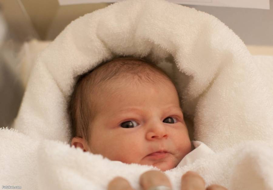 مواطن يطلق على موالده سعد جابر