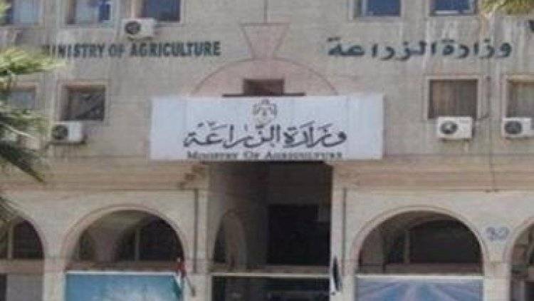 وزارة الزراعة: تنفي تعرض موظفة لإعتداءات جسدية من قبل أحد التجار