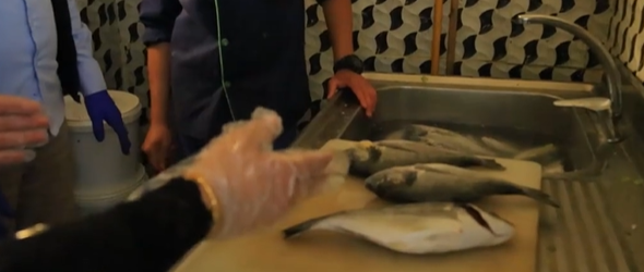 إغلاق محل دواجن بالشمع الأحمر وتحرير مخالفات لمحلات في عمان