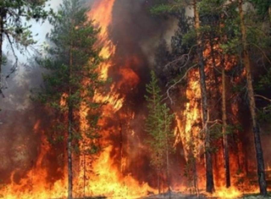 إصابة 5 من مرتبات الدفاع المدني خلال اطفاء حريق في عجلون