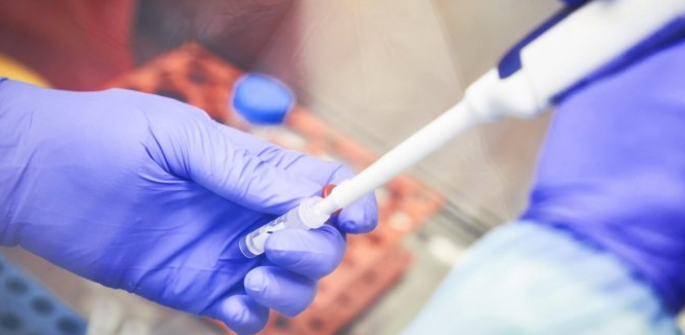 عاجل : المفرق: جمع 120 عينة من مخالطي مصابين بفيروس كورونا