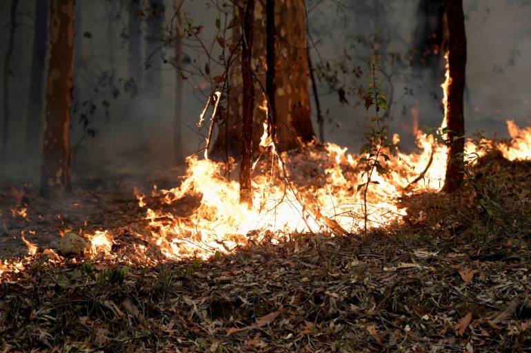 حريق كبير في احراش منطقة يرقا