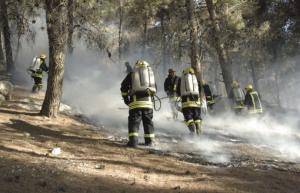 السيطرة على حريق غابة الشهيد عمر الرحامنة بالبلقاء