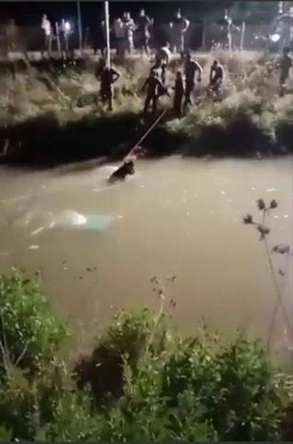 الشونة الشمالية: انتشال شخصين سقطت مركبتهما في قناة الملك عبدالله