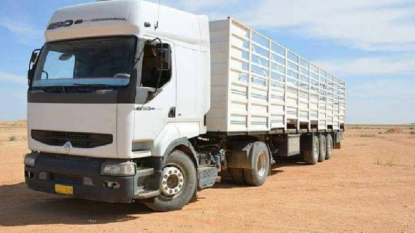 عبيدات: سائق المفرق تسبب بنقل عدوى الكورونا لأكثر من 100 شخص