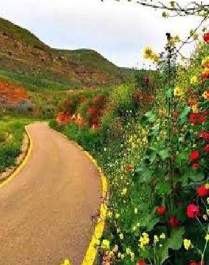 الأحد .. أجواء ربيعية في مختلف مناطق المملكة