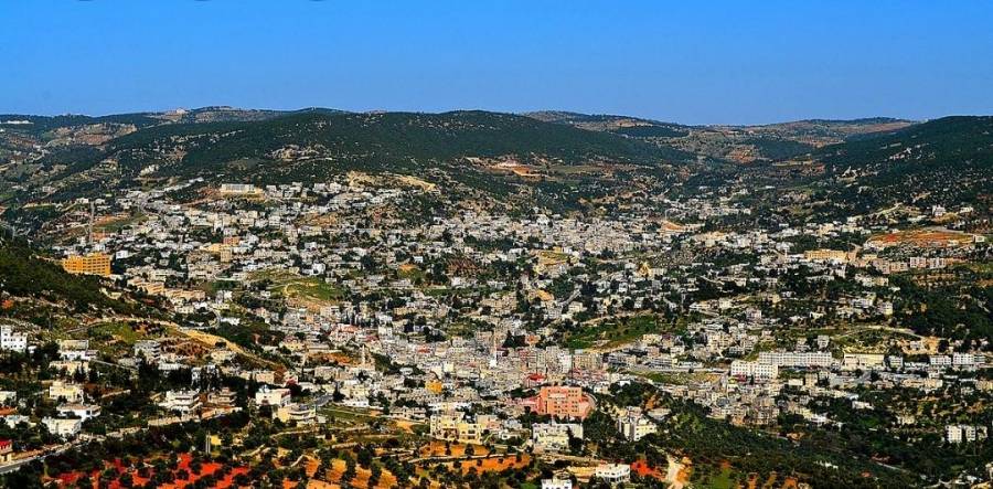 دعوات للتركيز على الاقتصاد الأخضر ومعالجة الأزمة التي تواجه الطبيعة