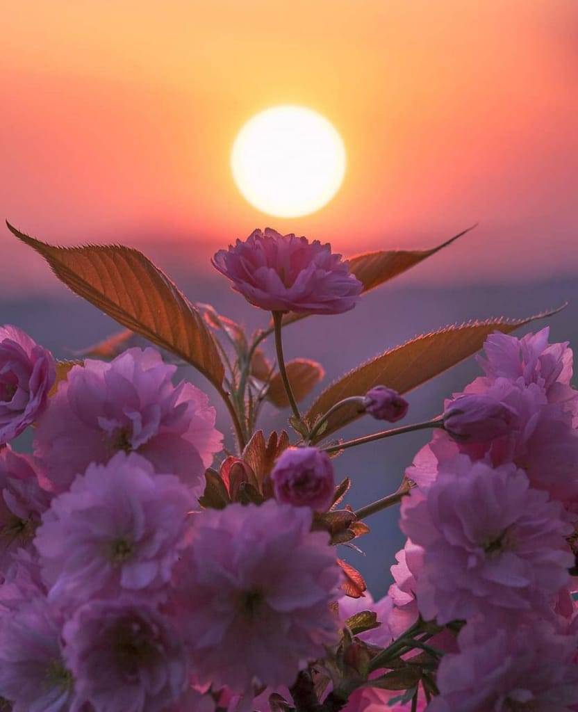 ارتفاع على درجات الحرارة اليوم السبت