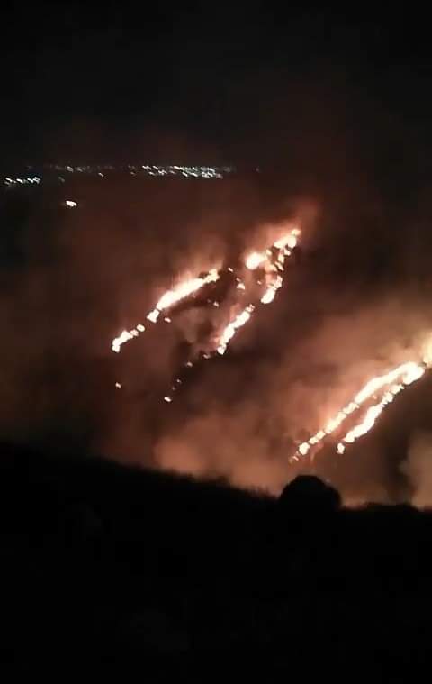 حريق يشب بين الاعشاب الجافة  والأشجار الحرجية في  فوعرا بمحافظة اربد... صور