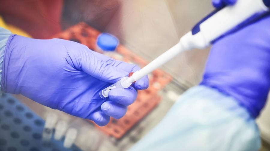 معان :نتائج سلبية لـ 100 عينة فحص كورونا