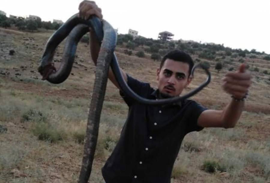 شاب  يتمكن من قتل أفعى يتراوح طولها حوالي ثلاث أمتار ونصف