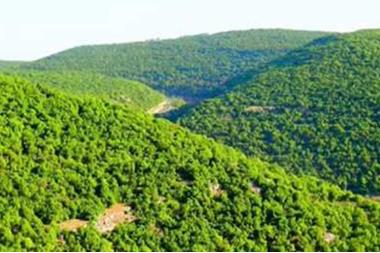 أول الجمعة بلا حظر منذو 12أسبوعا..وتحذيرات من سرقات المنازل