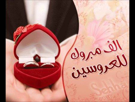 السلايطه والعلاونه نسايب