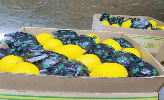  الزراعة  تعيد شحنة ليمون صيني لمخالفتها بلد المنشأ