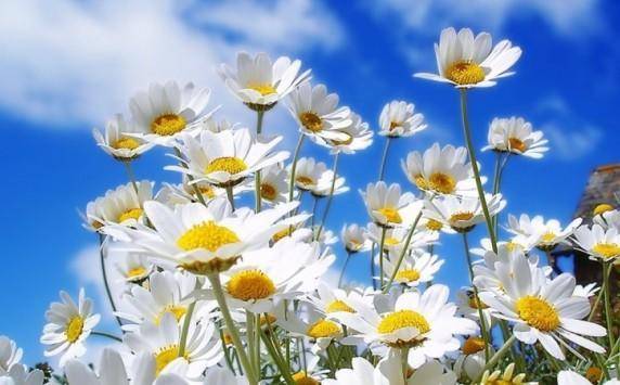 الجمعة : انخفاض ملموس على درجات الحرارة وطقس لطيف في أغلب المناطق