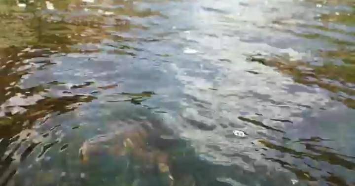 حمامات قصيب في لواء ذيبان بمحافظة مادبا محطة استشفائية تشكو من عدة نواقص