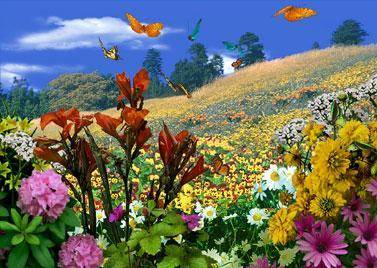 أجواء صيفية عادية الثلاثاء