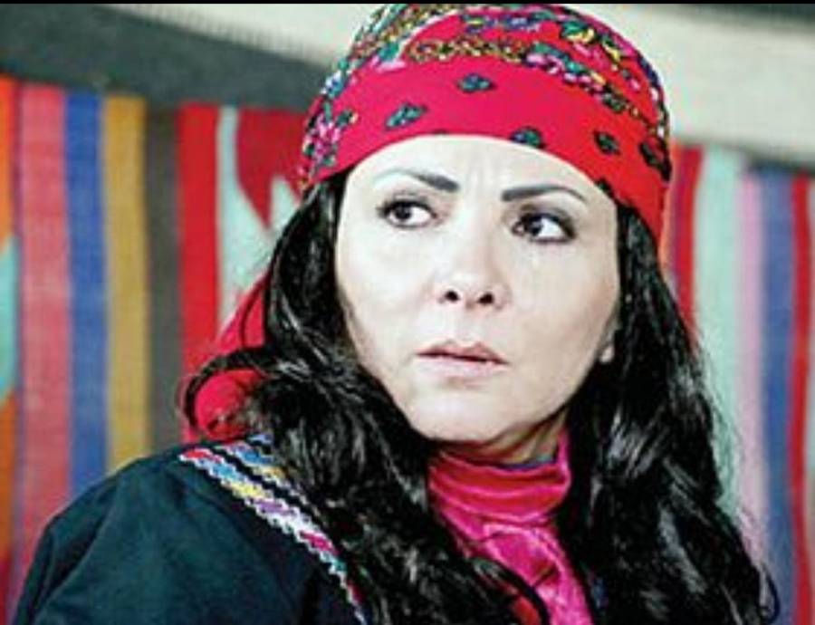 سندريلا الشاشة الأردنية عبير عيسى مسيرة حافلة من العطاء في العمل  الفني على الساحة الوطنية