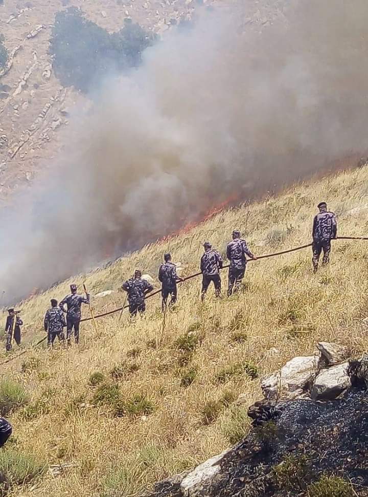 الدفاع المدني يخمد حريق أعشاب جافة وأشجار مثمرة في عجلون
