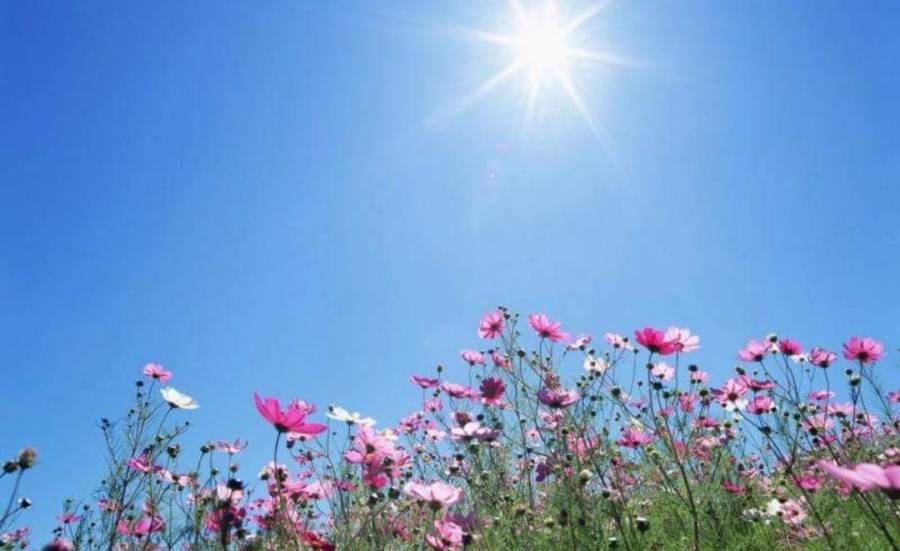 تفاصيل الحالة الجوية المتوقعة ليوم الخميس