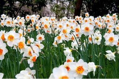 انخفاض قليل على درجـات الحــرارة