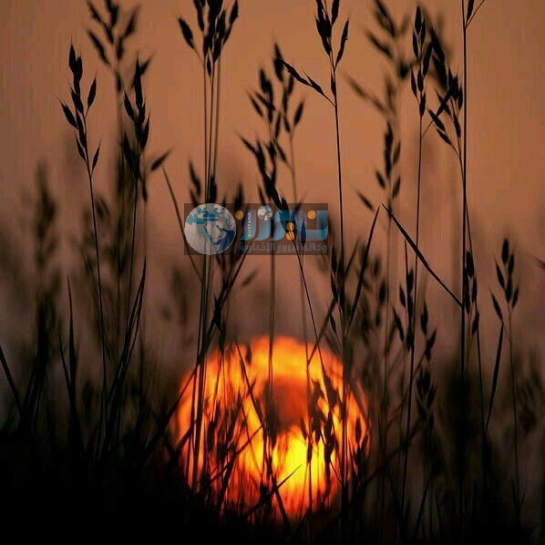 أجواء معتدلة الحرارة  هذه الليلة ..